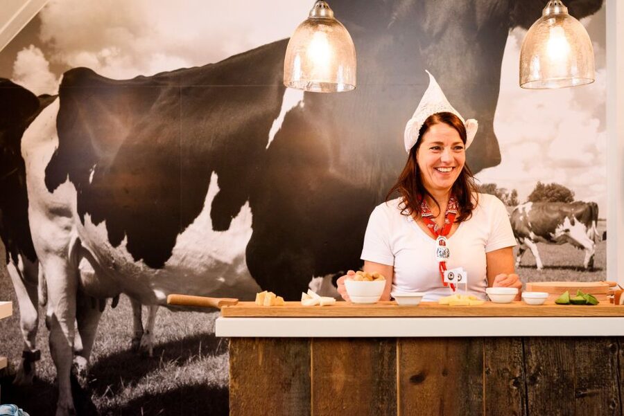 Amsterdam: Premium Henri Willig Cheese Tasting Experience - Key things I think you will notice fast