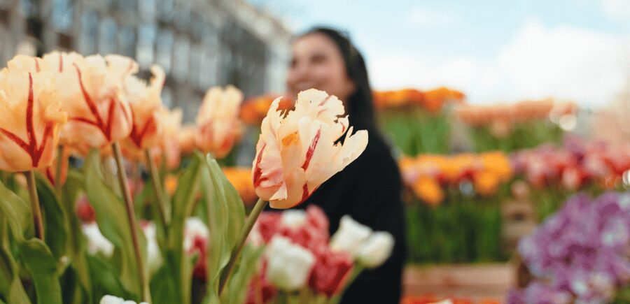 Amsterdam: Premium Tulip Boat Canal Tour - Guides, humor, and the kind of storytelling you actually use