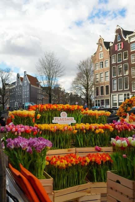 Amsterdam: Premium Tulip Boat Canal Tour - What to bring, and what to skip