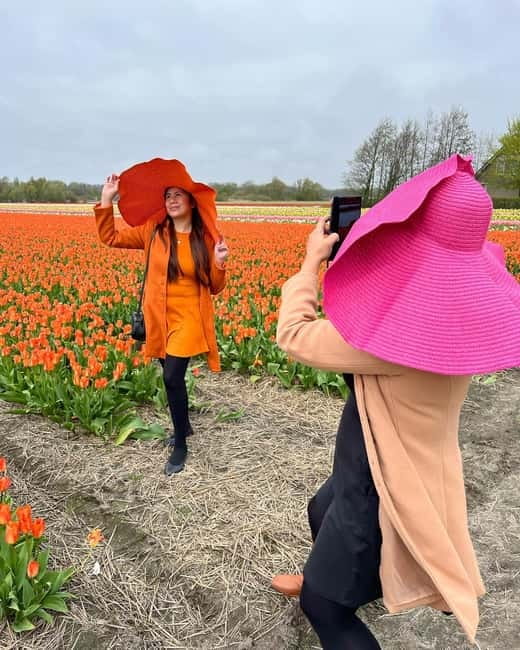 Amsterdam: Private Keukenhof and Free Tulip Tour - Keukenhof gardens: 4 hours of wandering where you choose the pace