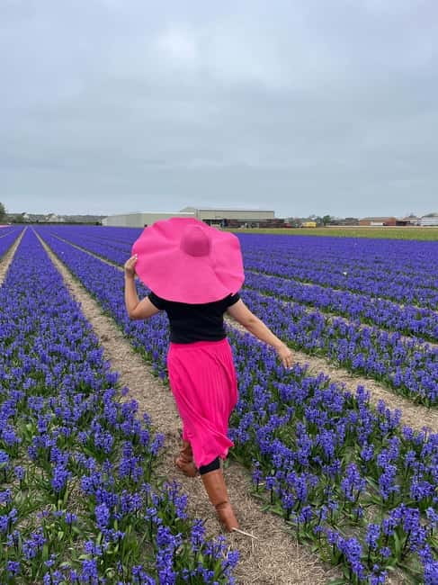 Amsterdam: Private Keukenhof and Free Tulip Tour - What to expect on the road and at the stops