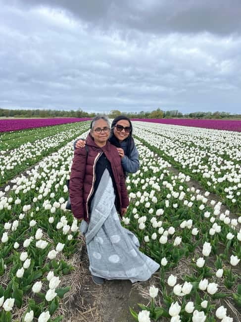 Amsterdam: Private Keukenhof and Free Tulip Tour - Should you book the Amsterdam private Keukenhof and tulip fields tour?