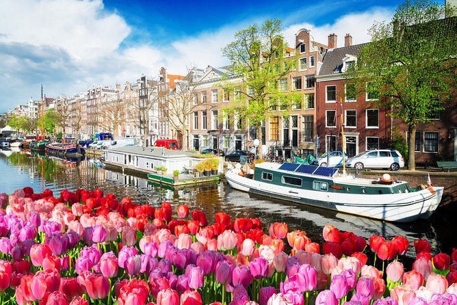 Amsterdam Private Sightseeing Tour for Kids & Families w/Local Guide - Stop 2: Zeedijk streets and the free Zeedijk Buddhist temple