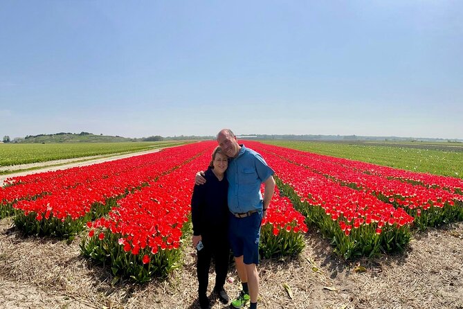 Amsterdam Private Tour to Keukenhof, Tulip Fields and Windmills - A private Amsterdam day trip that actually feels efficient