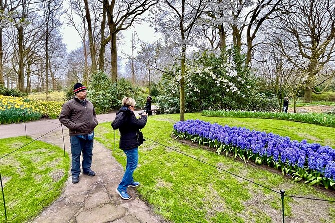 Amsterdam Private Tour to Keukenhof, Tulip Fields and Windmills - Tulip and windmill day trip price: is it worth $391.56 per person?