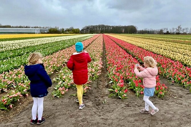 Amsterdam Private Tour to Keukenhof, Tulip Fields and Windmills - Pickup, transport, and why it affects your whole experience