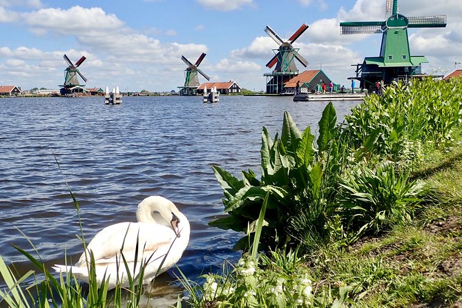 Amsterdam private tour to windmills, cheese farm and villages - A Smooth 9:00 AM Start That Keeps the Day Relaxed