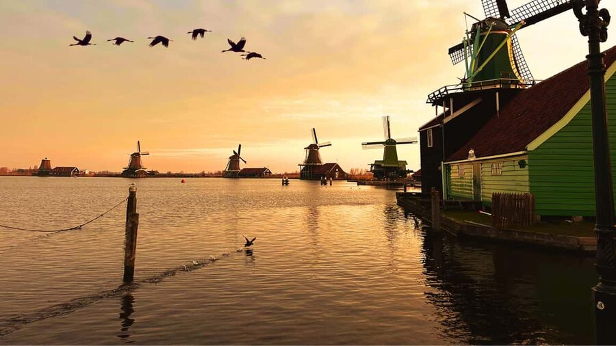Amsterdam : Private Tour Zaanse Schans - Key points worth knowing