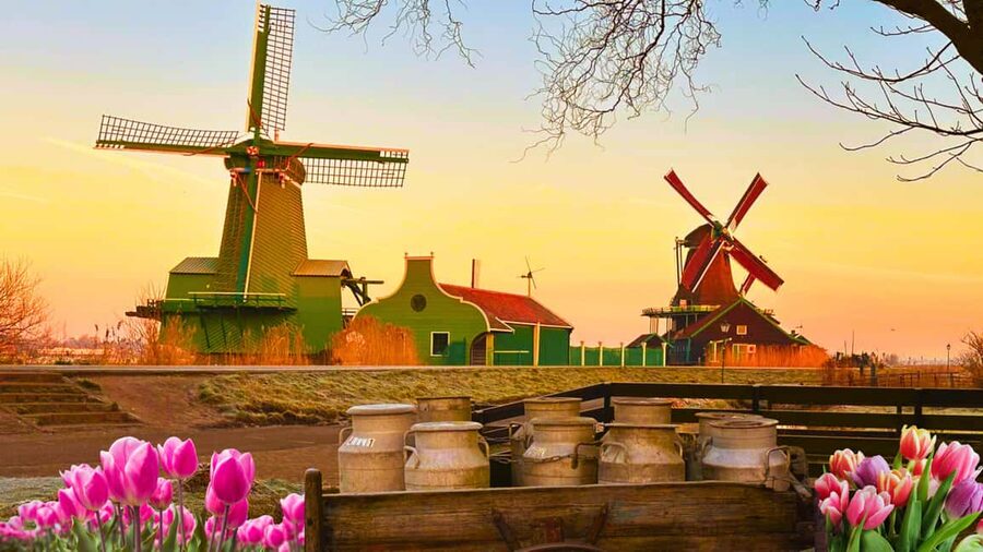 Amsterdam : Private Tour Zaanse Schans - A 4-hour private hop from Amsterdam to Zaanse Schans