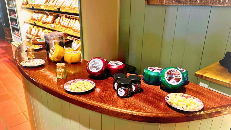 Amsterdam : Private Tour Zaanse Schans - Comfort, weather, and the pacing that makes it work