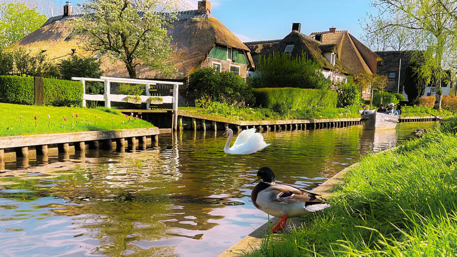 Amsterdam : Private Tour Zaanse Schans - Price and value for $84 per person in a private group