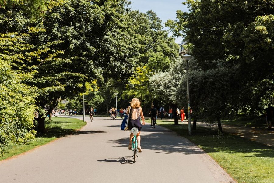 Amsterdam: Private Walking Tour from Westerpark to Jordaan - Westerpark stroll and Zuiveringshal West, culture inside a gasworks