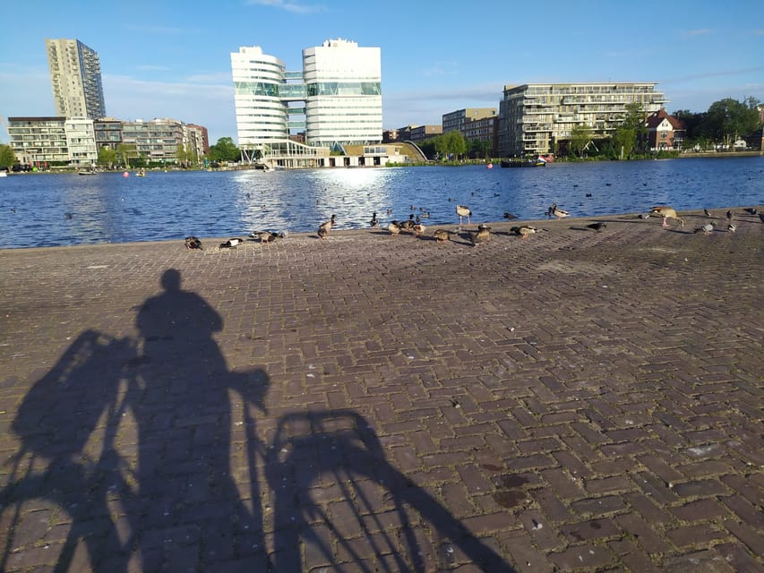 Amsterdam: Rainbow Rural Bike Tour With Local Gay Guide - The ferry ride back: skyline photos without the stress
