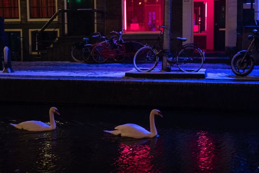 Amsterdam: Red Light District and Coffeeshop Culture Tour - Why This Red Light District Walk Feels More Local Than Usual