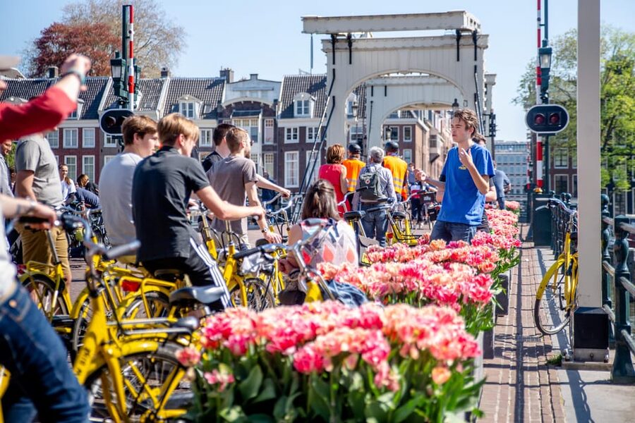 Amsterdam: Relaxed City Highlights Guided Bike Tour - Price and Value: Why $34 for a Bike Tour Feels Fair