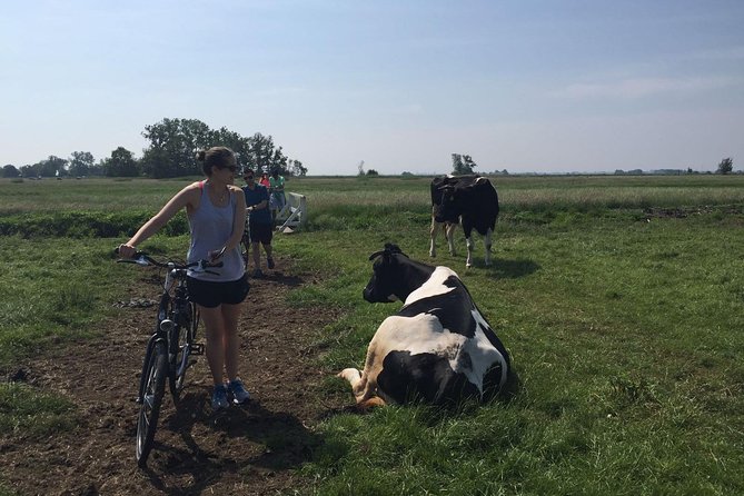 Amsterdam's Countryside Half-Day Bike Tour in Small Group - Meeting at Spuistraat, Then Rolling North