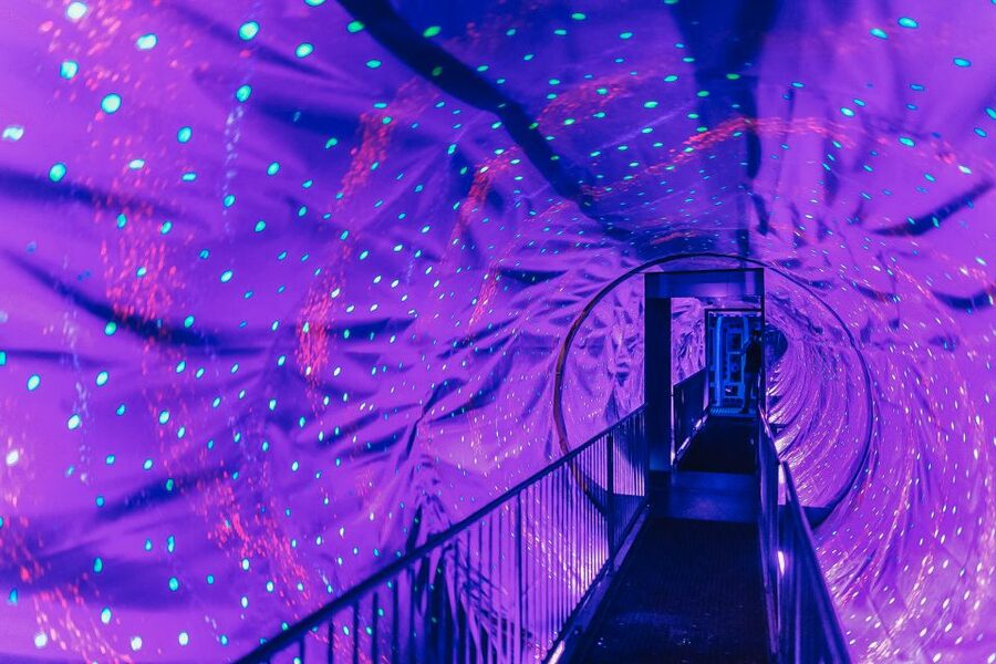 Amsterdam's Weirdest Museum: Ripley's Believe It or Not! - Key highlights at a glance