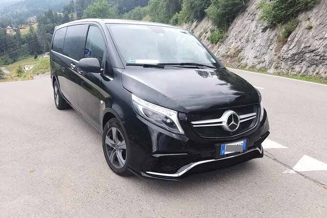 Amsterdam Schiphol Airport (AMS) to Amsterdam - Arrival Private Transfer - What the Reviews Tell Me, Without Overhyping It