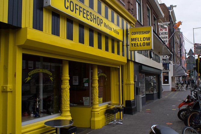 Amsterdam Schiphol Airport Layover 4-6 hours Tour, Airport Pick Up and Drop Off - Small comforts that matter after a flight