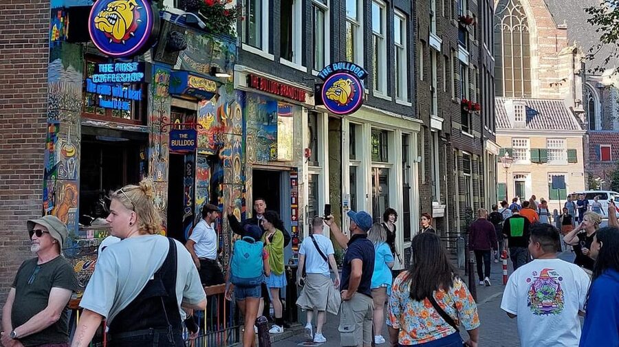 Amsterdam Shore Excursion: Highlights Walk & Canal Cruise - Key takeaways before you go