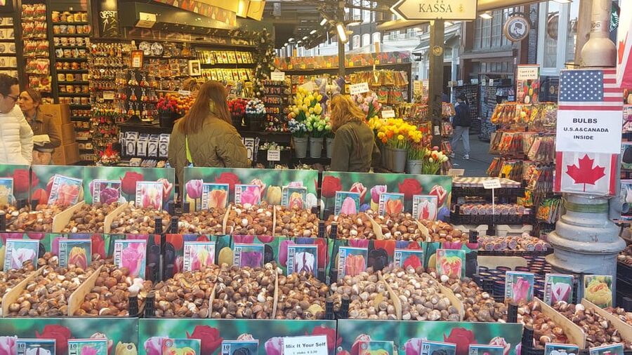 Amsterdam Shore Excursion: Highlights Walk & Canal Cruise - A 3.5-hour shore plan that starts at the port