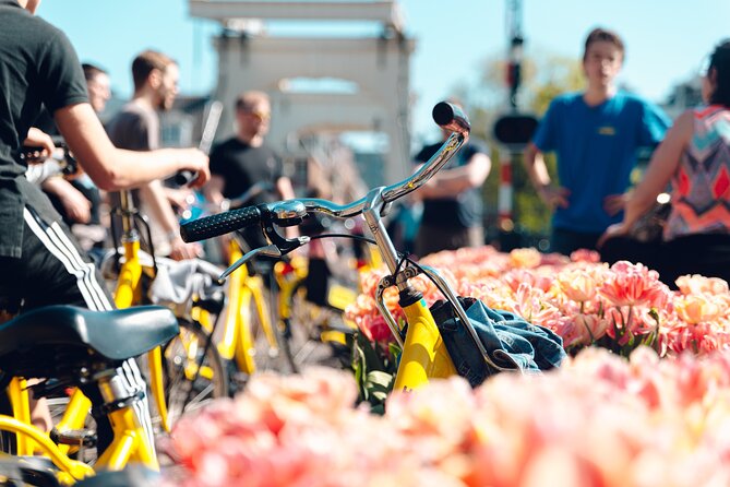 Amsterdam Small Group Bike Tour - Quick Hits on What Makes This Bike Tour Work