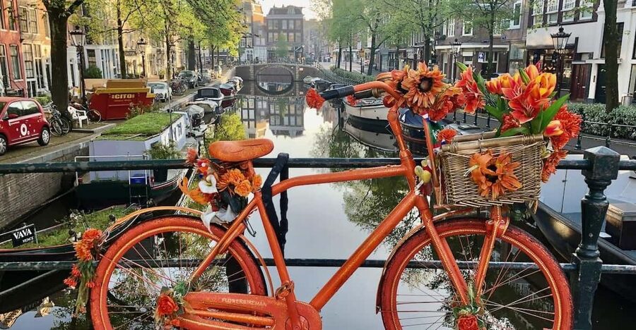 Amsterdam: Small Group Walking Tour with Fun Guide - Anne Frank House Area on Foot: Respectful Viewing, No Rushing