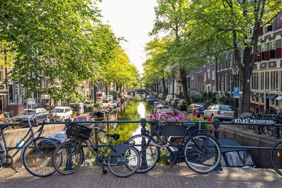 Amsterdam Small-Group Walking Tour - Starting at Beursplein 1, then walking into the city’s center