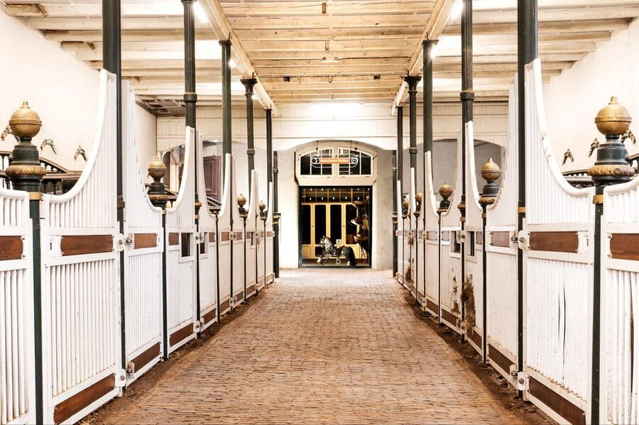 Amsterdam: The 'Hollandsche Manege' Stables Entry Ticket - Walking Through a 1744 Riding School Building