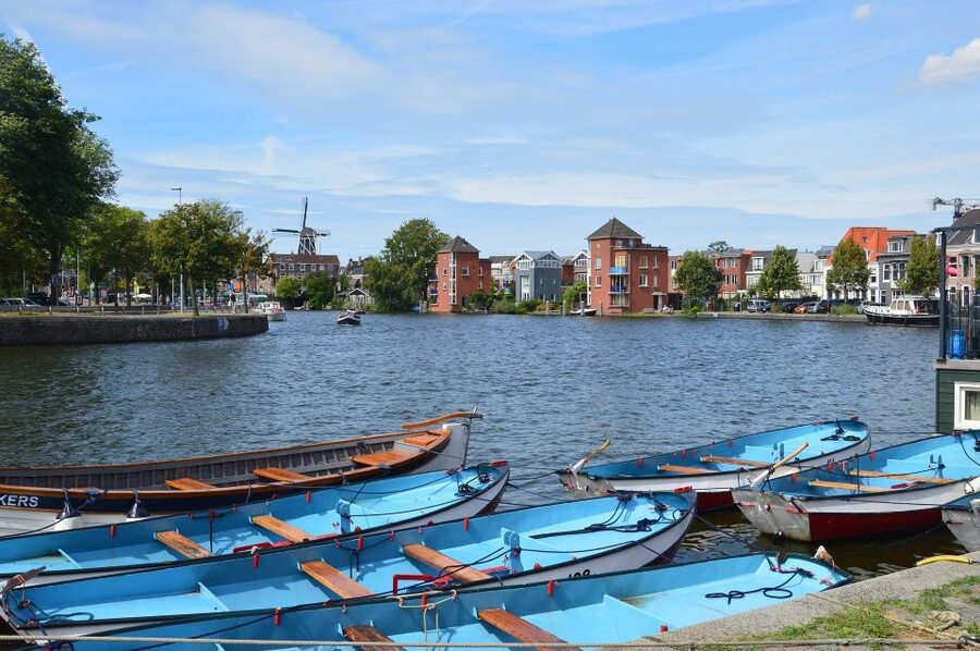Amsterdam to Haarlem: Private Day-Trip Experience - Pace, Duration, and What a 5-Hour Day Can Realistically Do
