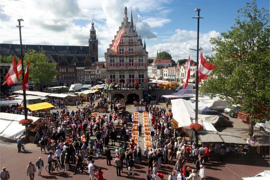Amsterdam: Traditional Cheese Market Tour to Alkmaar - Comfort, Timing, and What to Pack