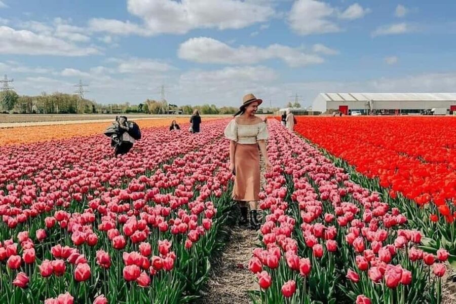 Amsterdam: Tulip Farm Visit, Keukenhof, and Windmill Cruise - Keukenhof, tulip fields, and Kagerplassen windmills in one 9-hour plan