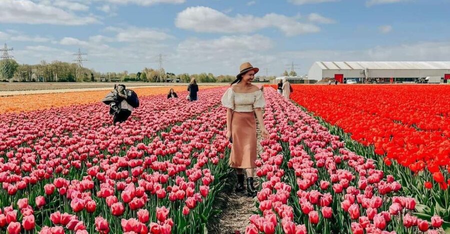 Amsterdam: Tulip Farm Visit, Keukenhof, and Windmill Cruise - Kagerplassen windmill cruise: a calm 1-hour reset