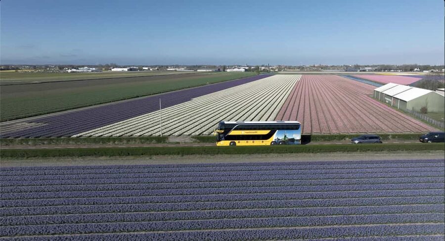 Amsterdam: Tulip Farm Visit, Keukenhof, and Windmill Cruise - The flower region transfer and arriving at Keukenhof on your terms