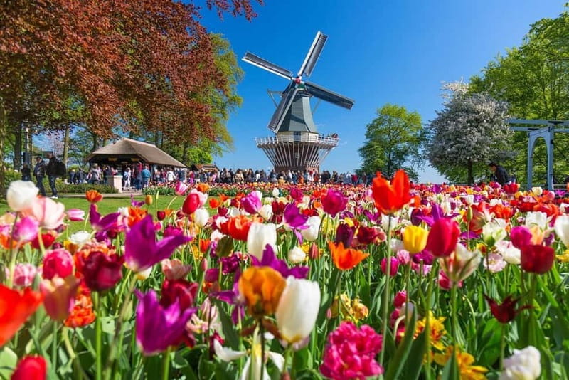 Amsterdam: Tulip Farm Visit, Keukenhof, and Windmill Cruise - Keukenhof with free time: how to actually enjoy the gardens
