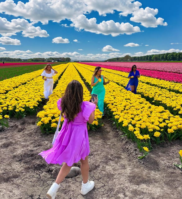 Amsterdam: Tulip Fields Day Tour with Lunch & Windmill - Key points before you go