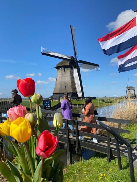 Amsterdam: Tulip Fields Day Tour with Lunch & Windmill - Why this Amsterdam tulip tour feels different