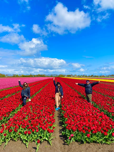 Amsterdam: Tulip Fields Day Tour with Lunch & Windmill - Second Middenbeemster stop and photo time that keeps the pace friendly