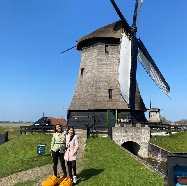 Amsterdam: Tulip Fields Day Tour with Lunch & Windmill - Guides from the tulip industry: what you learn and why it matters