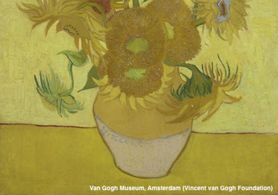 Amsterdam: Van Gogh Museum Guided Tour with Entry - Getting inside at Paulus Potterstraat 7 without the ticket scramble
