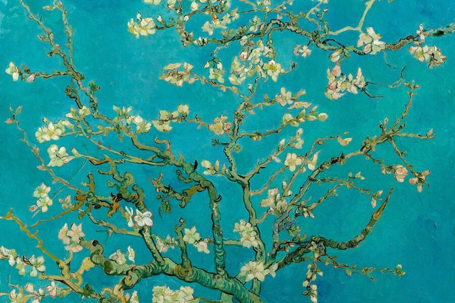 Amsterdam: Van Gogh Museum Ticket and City Canal Cruise - Key things to know before you go
