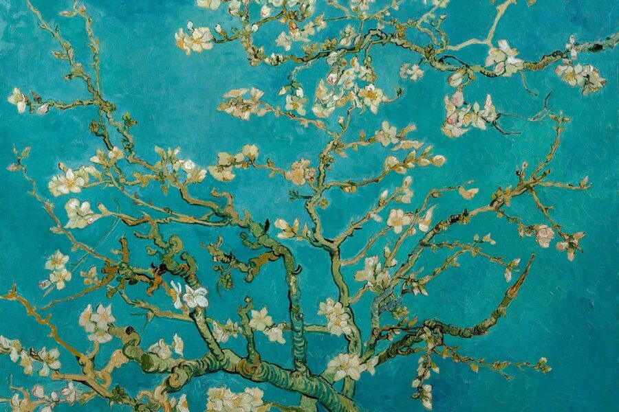 Amsterdam: Van Gogh Museum Ticket & Canal Cruise - Where the cruise leaves from: choose the easiest pickup point