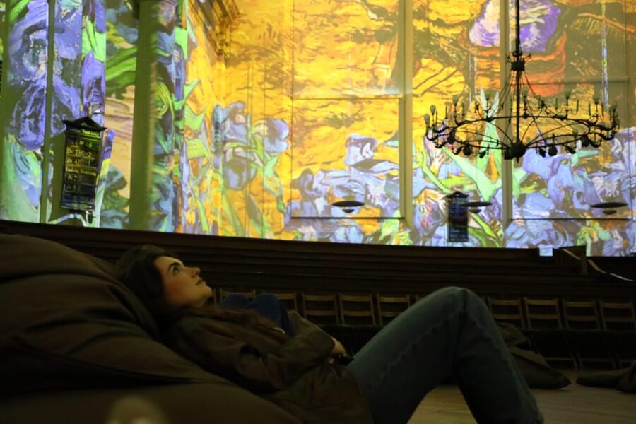 Amsterdam: Van Gogh & Rembrandt Captivating Experience Entry - Price and value: why $20 can feel fair in Amsterdam