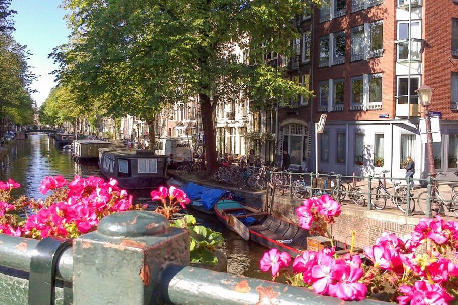 Amsterdam Walking Tour and Canal Cruise - Key highlights that make this tour work