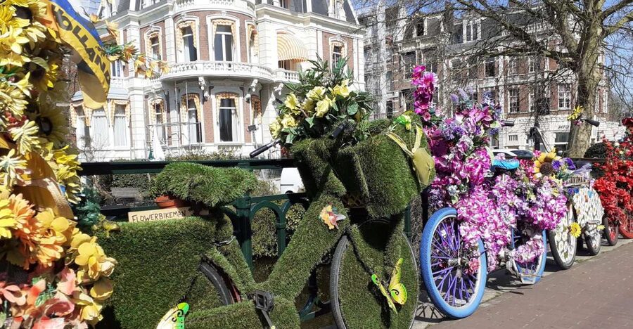 Amsterdam Walking Tour and Canal Cruise - Street market time for practical shopping and snacks