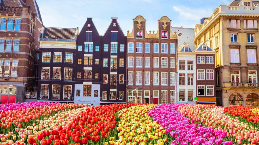 Amsterdam Walking Tour with a Local - The neighborhood start: your tour’s secret advantage