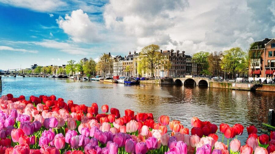 Amsterdam Walking Tour with a Local - Price and value: what $49 buys in real terms