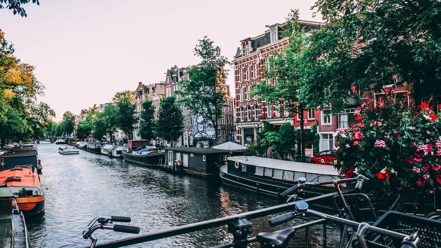 Amsterdam Walking Tour with a Local - What you’ll do during the 2 to 6 hour walk
