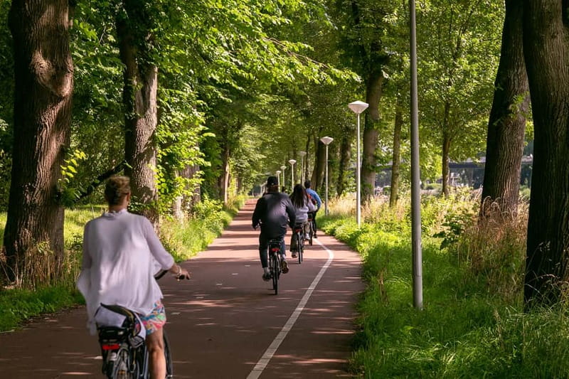 Amsterdam: Windmill, Cheese, and Countryside E-Bike Tour - Key things I’d plan around before you go
