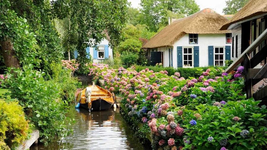 Amsterdam: Windmill, Logo and Zaandam Chinese Day Tour - Zaandam: A Short Guided Look That Helps You Spot the Bigger Picture